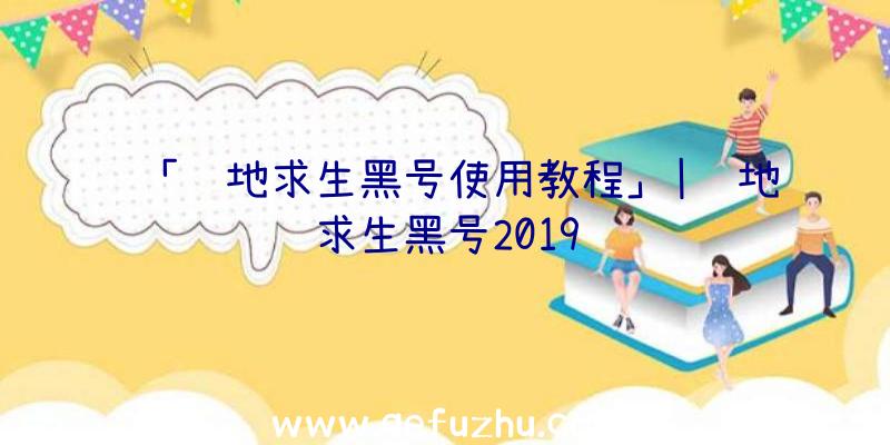 「绝地求生黑号使用教程」|绝地求生黑号2019